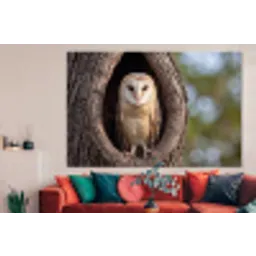 Kerkuil - Boom - Natuur - Bruin forex 5mm xxl -woonkamer