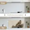 Het puttertje - Carel Fabritius keuken achterwand spatscherm middel -voor_na_NL