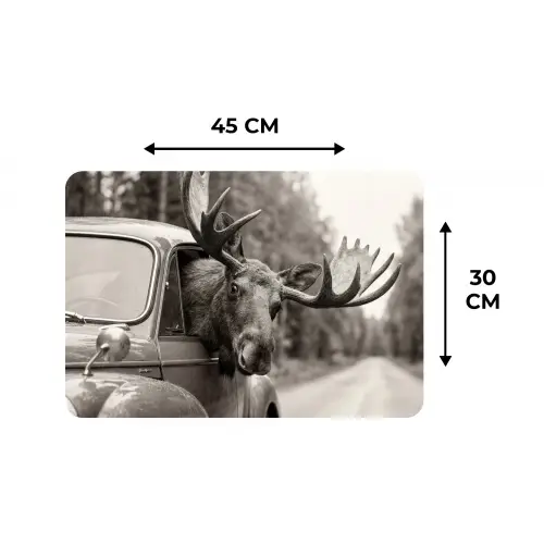 Eland - Auto - Gewei - Zwart - Wit Placemat vinyl groot -specs