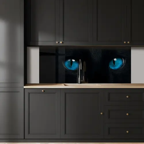 Kat - Blauw - Dier - Zwart keuken achterwand 2 middel -sfeer1