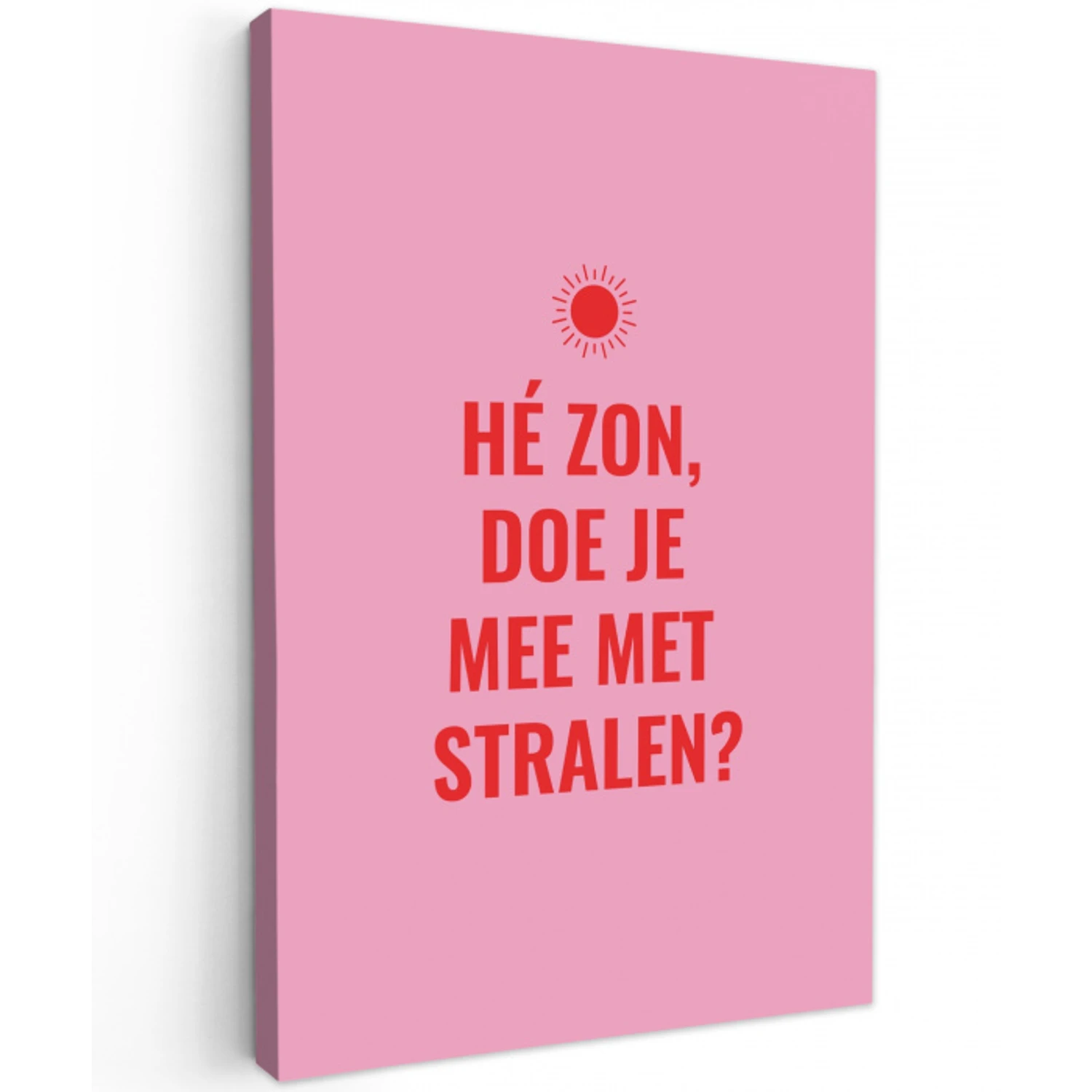 Roze - Zon - Quote Tuinposter op houten frame 2 cm dik klein -3d