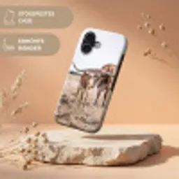 Texas Longhorn - Kalf - Weide - Dieren Toughcase MagSafe Apple iPhone 17 klein -USP_RandenV_DE