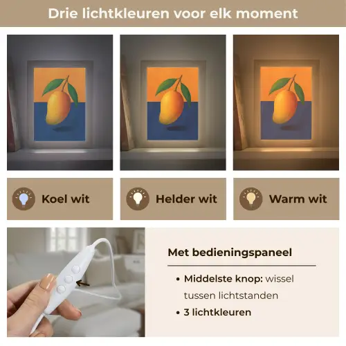 Mango - Vlakken - Bladeren - Oranje Light Box met kabel (Tafellamp) klein -USP_lichtkleurNL