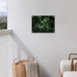 Sparrentakken - Knoppen - Naalden - Groen tuinposter los doek klein -sfeer8