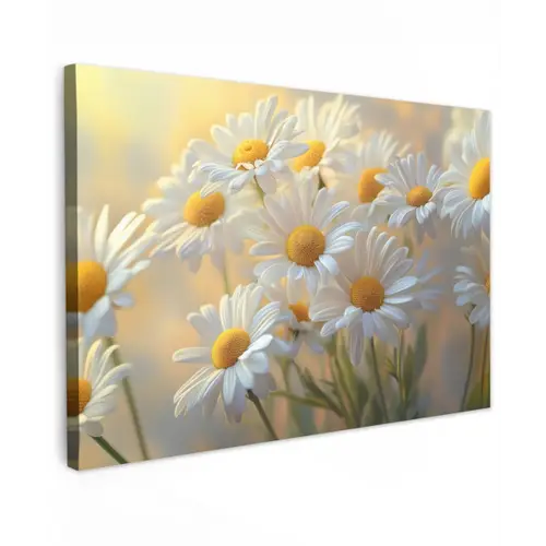 Madeliefjes - Wit - Zonlicht Tuinposter op houten frame 2 cm dik klein -3d