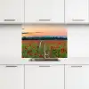 Klaprozen - Landschap - Rood - Bloemen keuken achterwand 2 middel -3d