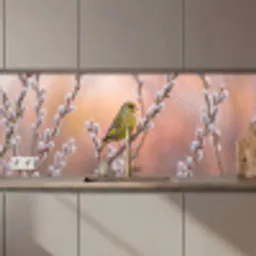 Groenling - Katjes - Lente - Natuur - Zacht keuken achterwand 2 middel zz_3dshopping