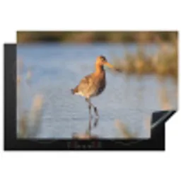 Vogel - Steltloper - Water - Natuur Inductie beschermer vinyl 3mm klein -3d