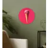 Schepijs - Roze - Hoorntje Wandcirkel kunststof plaat 5mm dik klein -sfeer3