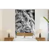 Portret - Leeuw - Zwart wit fotobehang vinyl groot -bed