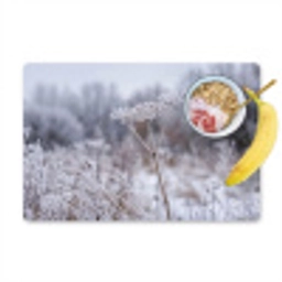Schermbloem - Rijp - Kristallen - Winter - Delicaat Placemat vinyl groot -zzzproduct_Kitchenyeah-website