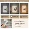 Vanille - Bloemen - Beige Light Box met kabel (Tafellamp) klein -USP_lichtkleurNL
