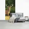 Hert - Gewei - Gras - Natuur - Dieren - Groen fotobehang vinyl groot -slaapkamer