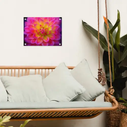 Roze - Dahlia - Kleurrijk tuinposter los doek klein -sfeer7
