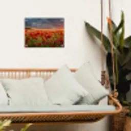 Zonsondergang - Klaprozen - Rood - Bloemen - Veld - Natuur tuinposter los doek klein -sfeer7