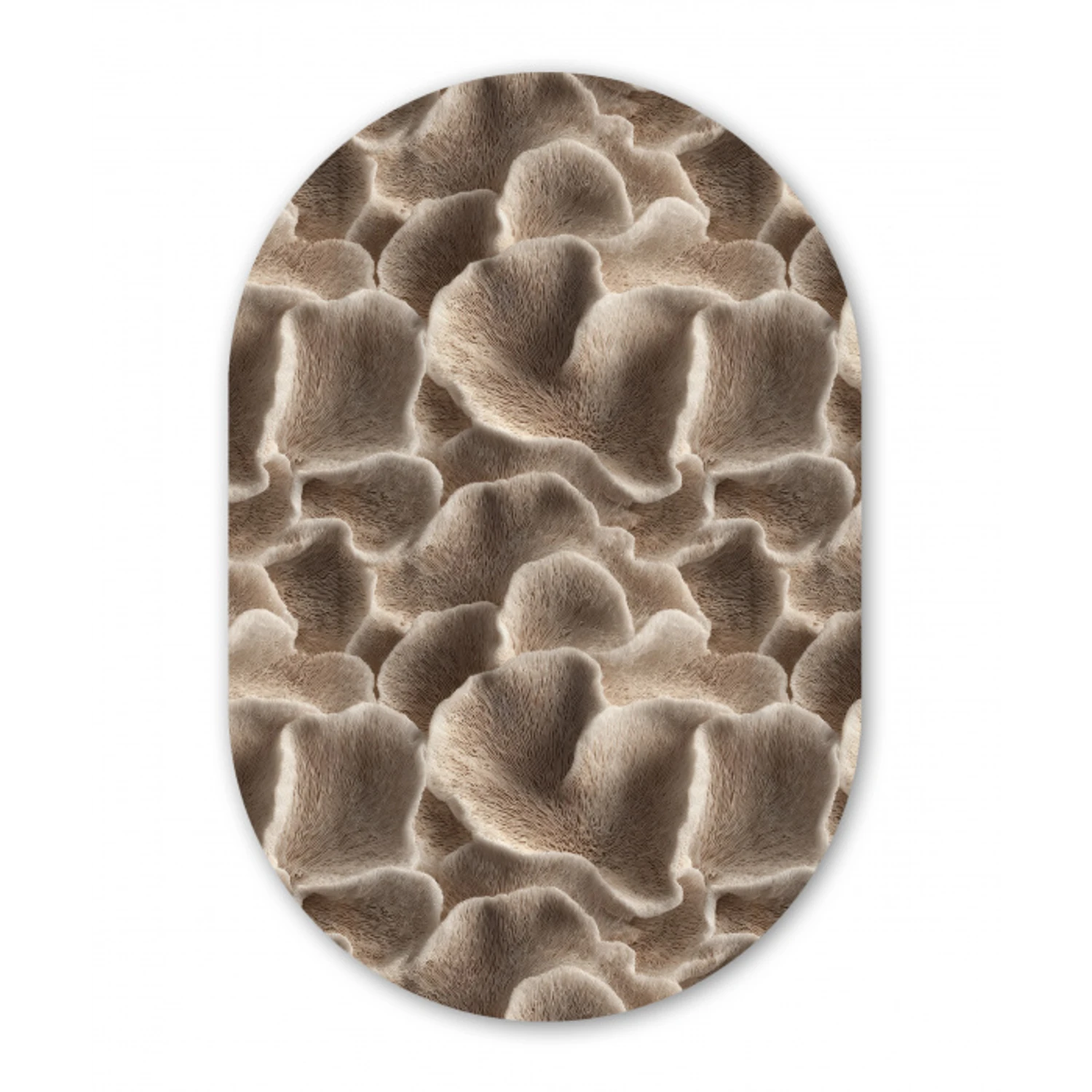 Waaiervorm - Beige - Vezel textuur Wandcirkel Ovaal Forex klein 630 -3d