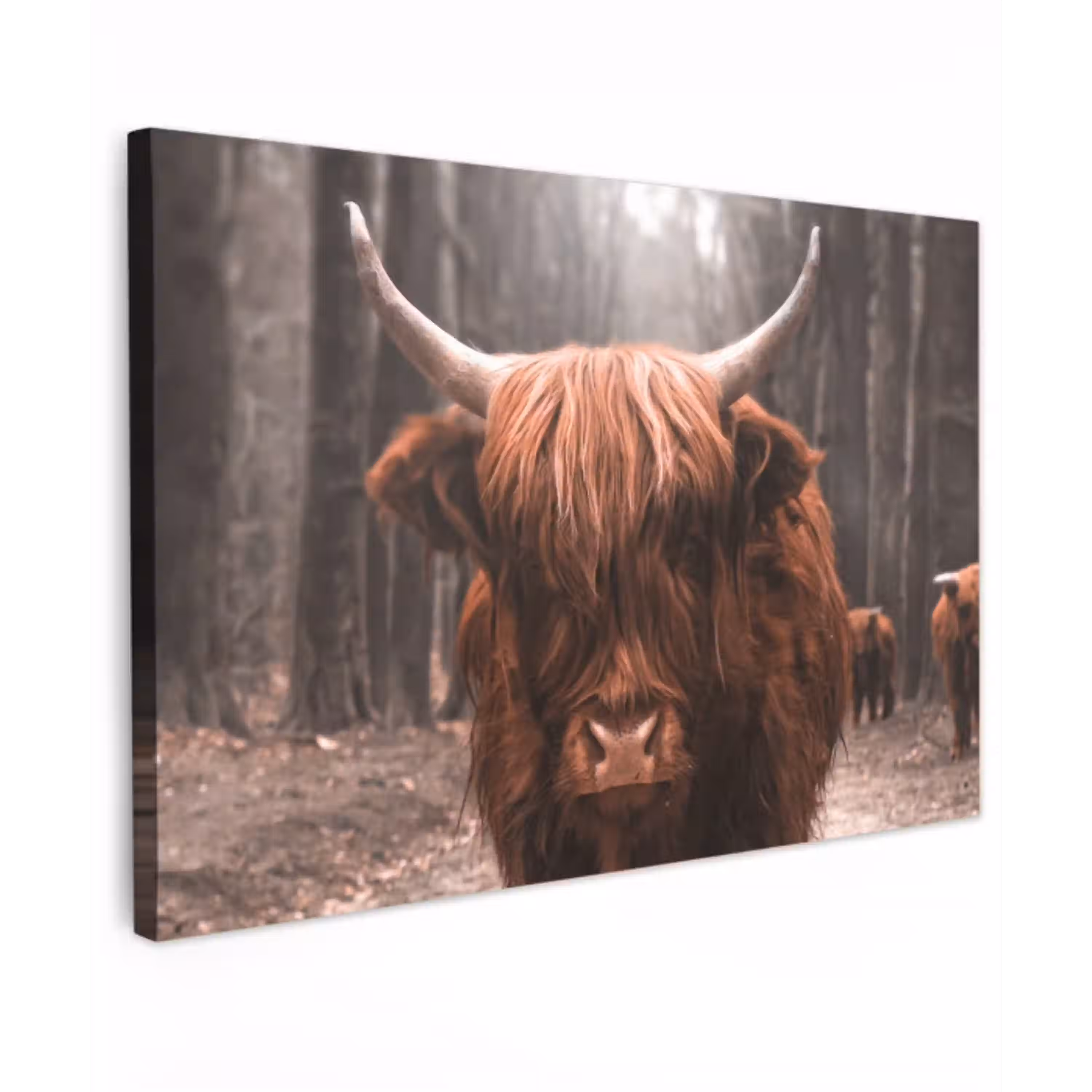 Hooglander in het Bos Tuinposter op houten frame 2 cm dik klein -3d