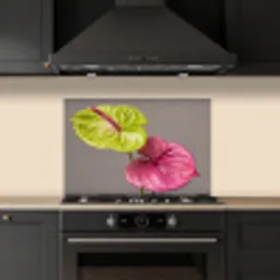 Planten - Anthurium - Groen - Roze keuken achterwand spatscherm klein -sfeer1