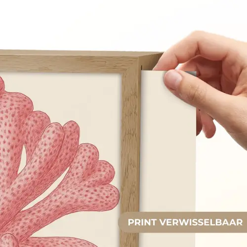 Koraal - Stipjes - Roze Light Box met batterij (Wandlamp) middel -USP_websiteprintNL