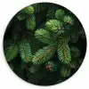 Sparrentakken - Knoppen - Naalden - Groen Wandcirkel plexiglas klein -3d