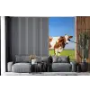 Koeien - Boerderij - Gras- Natuur - Dieren fotobehang vinyl groot -bank