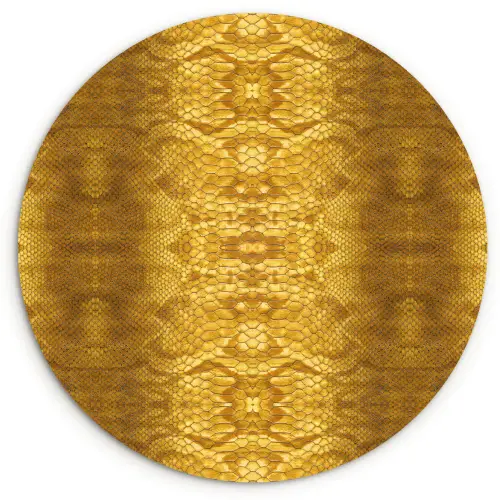 Slang - Boa - Goud - Geel Wandcirkel plexiglas klein 852 -3d