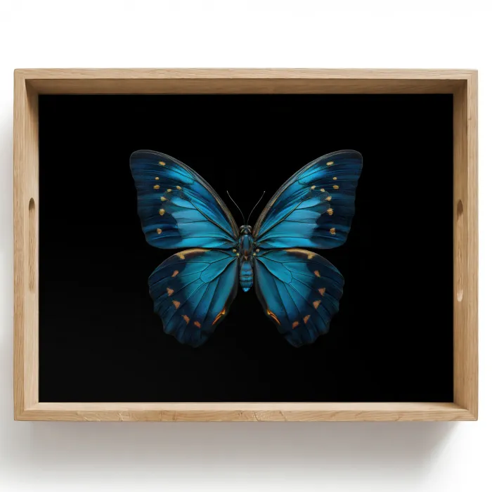Vlinder - Blauw - Contrast Dienblad Rechthoek middel -z3d_shopping