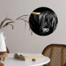 Schotse hooglander - Goud - Vacht - Dieren - Koe Wandcirkel behangsticker klein -sfeer3