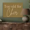 Groen - Too old for cher - Roze PET vilt klein -sfeer2