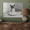 Kat - Siamees - Zwart Wit - Schattig - Dieren PET vilt klein -sfeer2