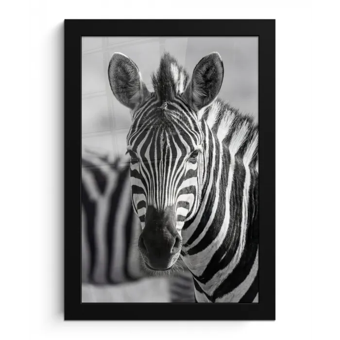 Zebra's - Zwart - Wit fotolijst zwart zonder passe partout klein -3d