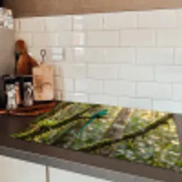 Quetzal - Jungle - Natuur - Groen Inductie beschermer vinyl 3mm klein -sfeer3