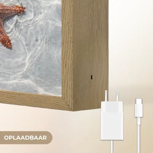 Zeesterren - Water - Helder Light Box met batterij (Wandlamp) middel -USP_websiteoplaadbaarNL