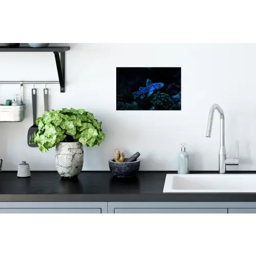 Vis - Stippen - Koraal - Blauw Muursticker klein -keuken