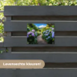 Hortsensia - Pad - Bloemen tuinposter los doek klein -sfeer3