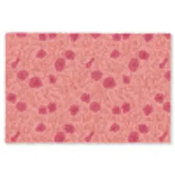 Weidebloemen - Romantisch - Roze Vloerkleed Rechthoek klein 1091 -3d