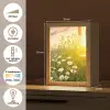 Bloemen - Madelief - Natuur - Zon - Horizon Light Box met kabel (Tafellamp) klein -USP_NL