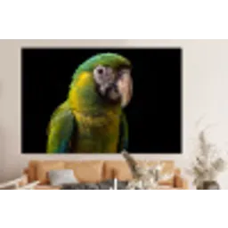 Ara - Portret - Groen forex 5mm xxl -bovenbank