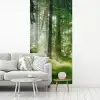 Natuur - Bomen - Bos - Groen - Zon fotobehang vinyl groot -woonkamer