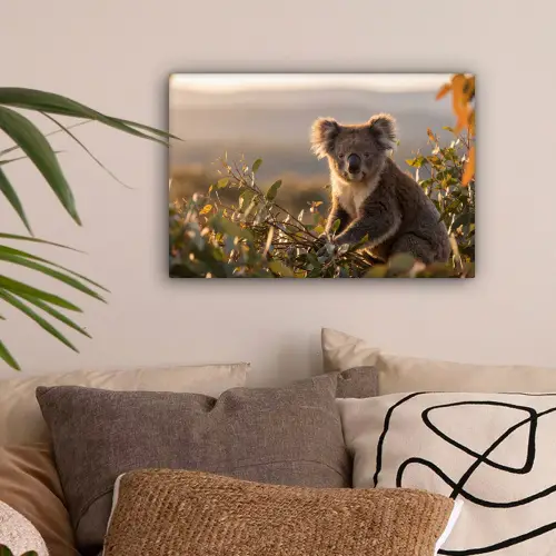 Koala - Bladeren - Ochtendlicht canvas 2cm klein -sfeer1