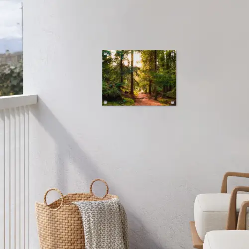 Bos - Pad - Bomen - Groen - Zon - Natuur tuinposter los doek klein -sfeer8