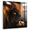 Schotse hooglander - Zwart - Koe - Hoorn - Dieren plexiglas 5mm klein -zzzproduct_nieuw