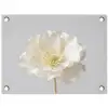 Bloem - Minimalistisch -Wit tuinposter los doek klein -3d