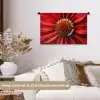 Close up - Bloem - Quote - Rood Wandkleed katoen klein -sfeer1