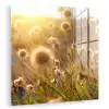 Planten - Natuur - Bloemen - Zon - Horizon plexiglas 5mm klein -zzzproduct_nieuw