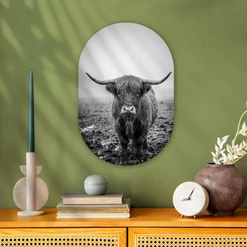 Schotse hooglander - Zwart - Wit - Gras Wandcirkel Ovaal Forex klein -sfeer2