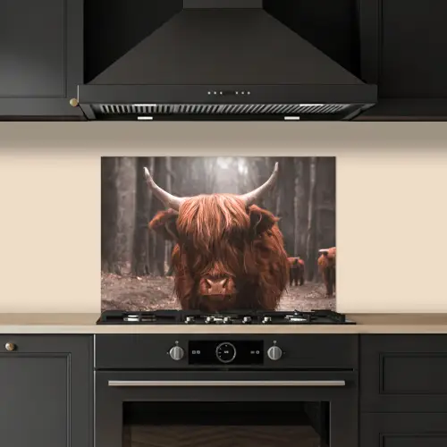 Schotse hooglander - Bos - Koe - Dieren - Natuur keuken achterwand spatscherm klein -sfeer1