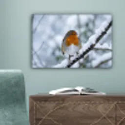 Roodborstje - Tak - Sneeuw - Winter - Levendig canvas 2cm klein -sfeer4