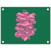 Abstract - Pink - Lijnen - Groen tuinposter los doek klein -3d