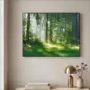 Natuur - Bomen - Bos - Groen - Zon - Gras - Planten Textielframe zwart klein -sfeer2